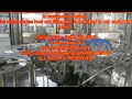 Complete Cola Making gas drinks filling line for african m