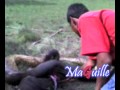 ANACONDA SE TRAGA UN TERNERO.mpg