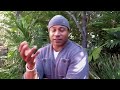 LL Cool J "Raps" With The Hollywood Foreign Press