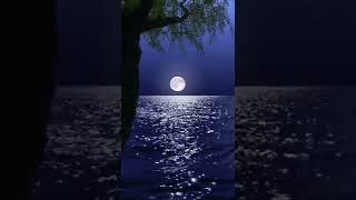 Gece Ay ve Yakamoz ☼ Beautiful Night Moon Scenery 2022 #shorts