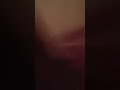 jack russell Dog Keeps Balloon Up In The Air..