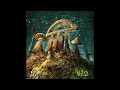 Infected Mushroom - Savant on Mushrooms [HQ Audio]