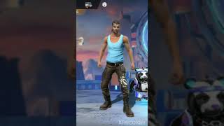 New Allight Motionbundle