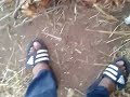 chat momy
