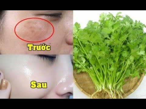 Rau mùi ngâm giấm – “Thần dược” làm đẹp da, xóa mờ nám, đánh bay mỡ bụng nhanh như 1 nốt nhạc