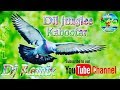 Dil Jungali Kabootar {Old Hindi Desi DJ Mix Song} दिल जंगली कबूतर~Remix By Anil Meena Bhorki