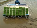 8条植えで、三角の田んぼの田植