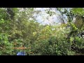 La Quinta de Sarapiqui - Sarapiqui Costa Rica