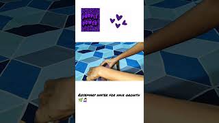 Rosemary Water For Fast Hair Growth? Purple App Product