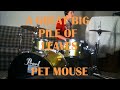 A Great Big Pile Of Leaves - Pet Mouse Drum Cover