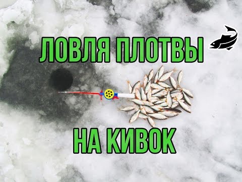 как ловить карася в сильный ветер как ловить карася в сильный ветер