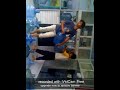 Pemerkosaan Sadis images Pemerkosaan Sadis