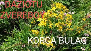Laçın Rayonu Mirik Kəndi Korca Bulaq Ərazisi