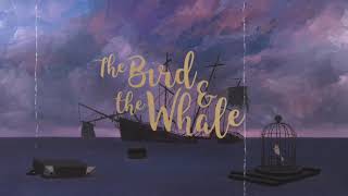 The Whale And The Birdtribute Video96 Moviekaathalae Kaathalae Song96 Songtrue Love Status