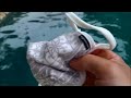 Vogmask - Microfiber or Organic Cotton Mask