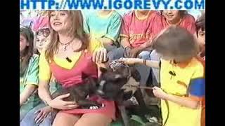 Elisabetta Ferracini Solletico 11 Wearing Mini Skirt Minigonna Y Gambe, Cosce Oops,