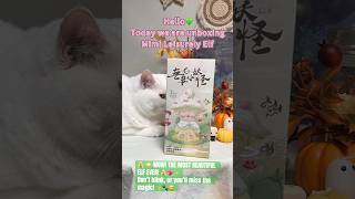 Magical Unboxing Elf