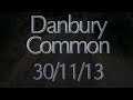 Danbury Common 30/11.13