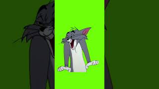 Tom And Jerry, Tom Crying, Green Screen