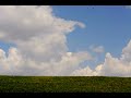 Clouds on Grass Time Lapse