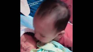 Tingkah Lucu Bayikakak Cium Adiknya