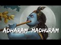 Adharam Madhuram | Madhurashtakam | Slowed + Reverb | Krishna Bhajan | Bhakti Melody | Time For Soul