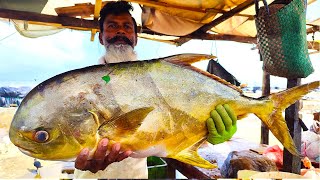 Can You Guess The Fish ? | Fish Cutting Skills Sri Lanka