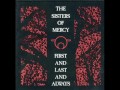 The Sisters Of Mercy-No Time To Cry