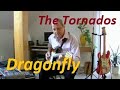 Dragonfly (The Tornados)