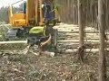 Máy khai thác rừng, tỉa cành và lột vỏ cây AFM Harvesters Y