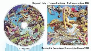 Watch Hogwash Fungus Fantasia video