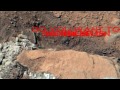 Alien Nesting Sight On Mars Anomalies Anomaly Ufo 2013 Nasa images Alien Nesting Sight On Mars Anomalies Anomaly Ufo 2013 Nasa