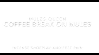 Clip 205 - Coffee Break On Mules