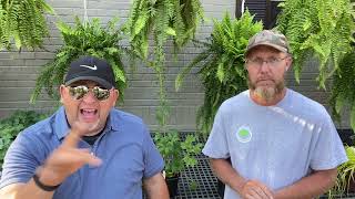 Blue Ribbon Live! 7-15-2022
