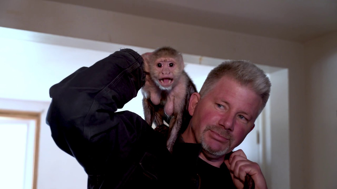 Furthest from the Wild Ep 2 "Ben & Annie Retire to Florida" Teaser Trailer