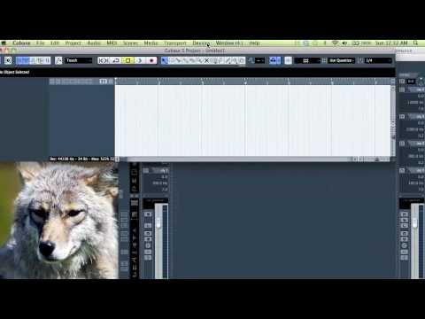 Creating and Organizing Workspaces in Cubase