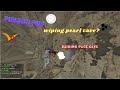 ARK WIPING PEARL CAVE AND PACK?? - FUSION PVP