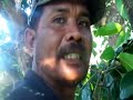 image Berburu Babi Hutan Tar Sasaran Part 2