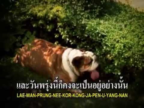 Lipta - เจ้าอ้วน (My Babe) thumb