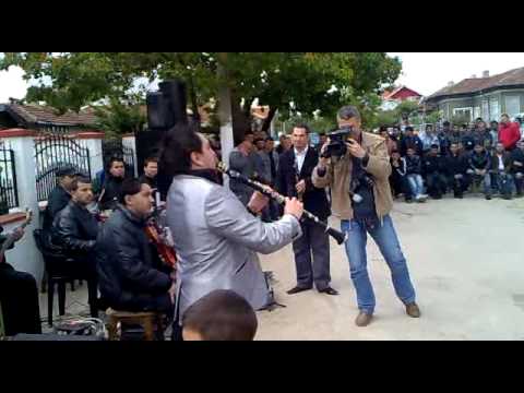 v Dulovo