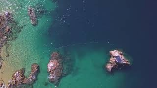 Sirenas Apnea