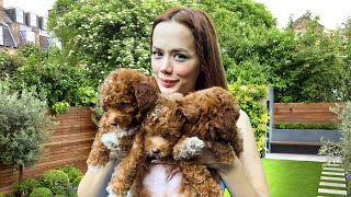 Yeni̇ Yavru Köpeği̇mi̇z ? Öyküye Dev Süpriz Gamze Karta Öykü Karta
