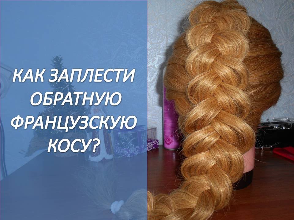 Как плести французскую косу видео скачать Как плести французскую косу видео скачать