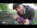 A Beautiful Garden DOESN’T Have to Be Expensive