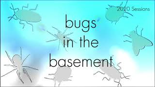 Bugs In The Basement - Ctenocephalides Felis aka The Cat Flea