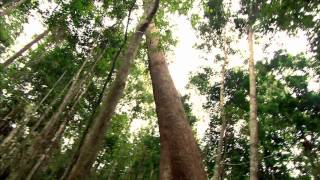 Trailer: Climate of Change — Feature Documentary, 2010