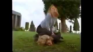 Rolling Tv Catfight