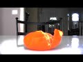 Stopmotion- the lonely orange