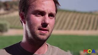 Winemaker Matt Dees - Movies On Artists