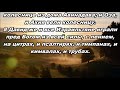 Тихое время с Живой Жизнью: 1 Паралипоменон 13:1–8 (29082018)